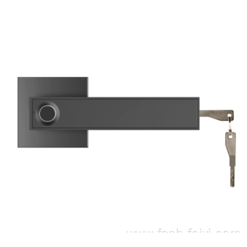 Fingerprint Lock with Key